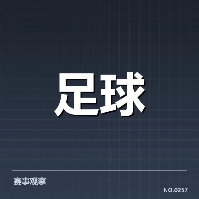 已落实的球场建设及升级项目情况